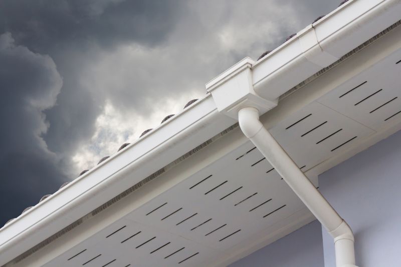 Roofing and Gutter Maintenance